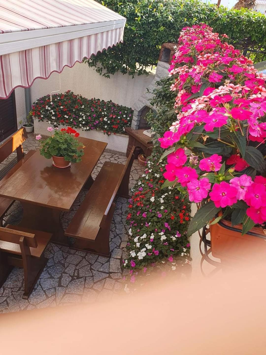 Apartments Antolovic Vrsar Εξωτερικό φωτογραφία